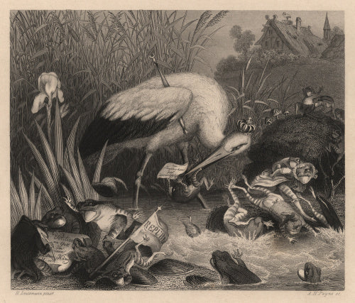 King Stork and the Frogs'