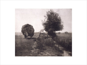 In the Haysel, from a portfolio of 'Pictures of East Anglian Life'