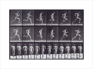 Running at full speed; from 'Animal Locomotion. An Electro-Photographic Investigation of Consecutive Phases of Animal Movement 1872-1885'