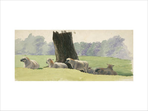 Landscape with sheep under a tree