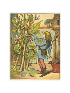 Jack decides to climb the beanstalk, from Warne's "Excelsior" Toy-Book No. 48, London [ca. 1880]