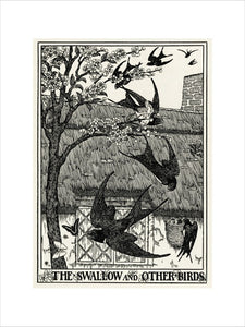 The Swallow and Other Birds
