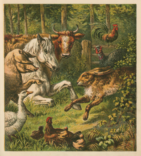 The Hare and the Tortoise; 'Aunt Louisa's Keepsake',London: Frederick Warne, [1871?]