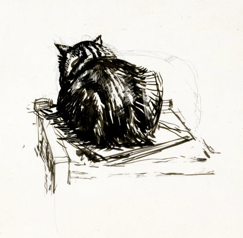 Study of a cat viewed from the back