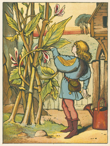 Jack decides to climb the beanstalk, from Warne's 