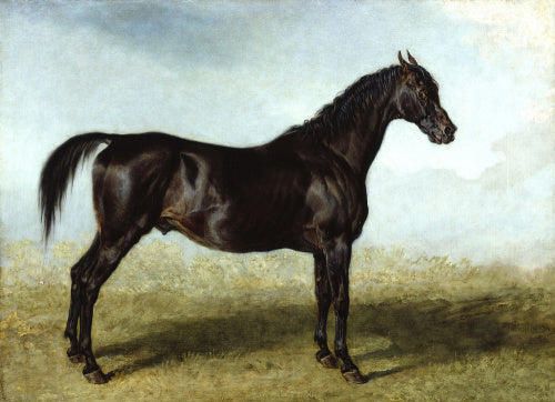 Guy Mannering: A Race Horse